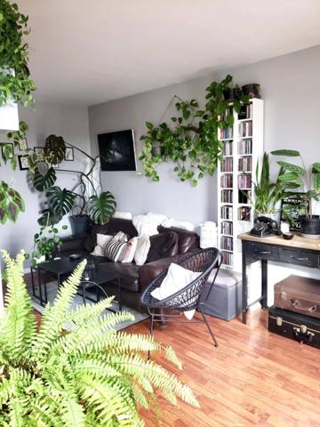 3 / 4 pièces en très bon état