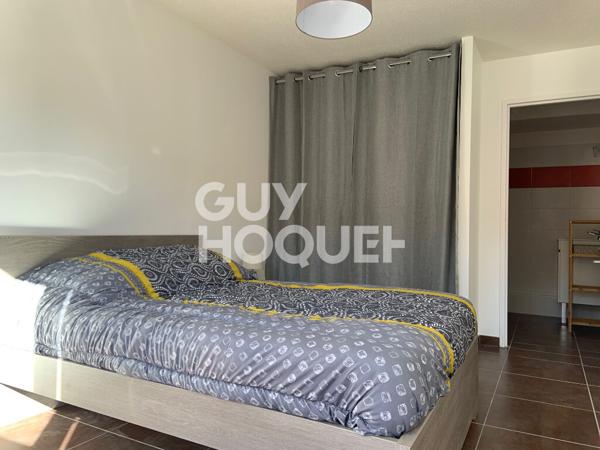 Appartement - Albi - Meublé - 36 m2