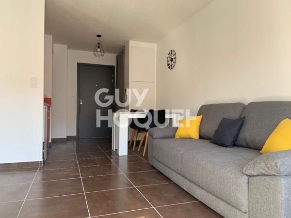 Appartement - Albi - Meublé - 36 m2