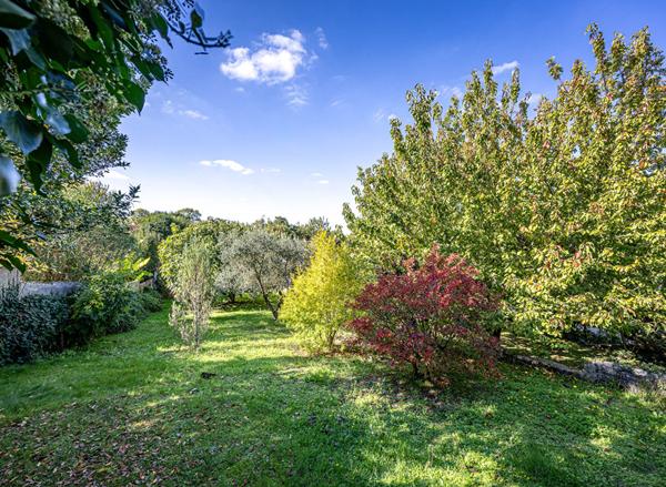 Maison de Charme à Mornac-sur-Seudre - Un Écrin de Sérénité