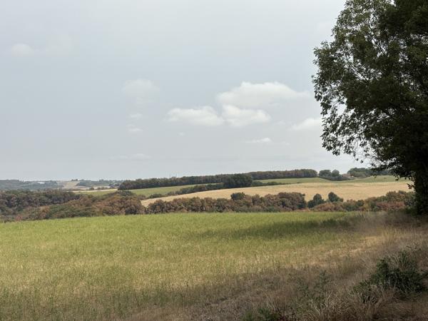 Auterive (32550) Exclusivité : Maison de plain-pied de 78m2, T3 sur terrain de 4917m2