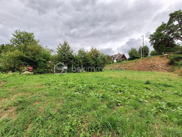 Je vous propose en exclusivité un terrain constructible et viabilisé d'une superficie de 661 m2 à Mayenne dans le hameau de la Tricottière.

Terrain situé dans un environnement calme et arboré, à proximité des chemins de randonnées et d'un ruisseau, hors lotissement.

Cub positif.