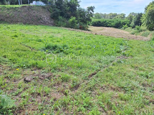 Je vous propose en exclusivité un terrain constructible et viabilisé d'une superficie de 661 m2 à Mayenne dans le hameau de la Tricottière.

Terrain situé dans un environnement calme et arboré, à proximité des chemins de randonnées et d'un ruisseau, hors lotissement.

Cub positif.