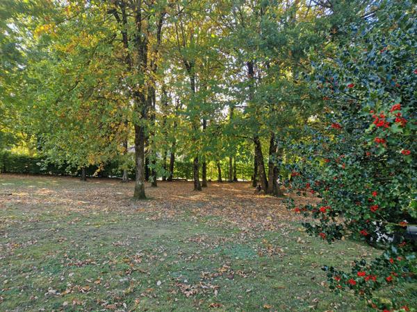 superbe chalet 4ch dans les bois avec grand terrain