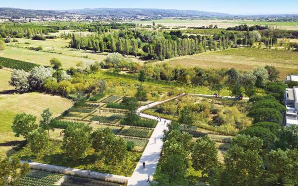 Terrain à vendre    Coursan