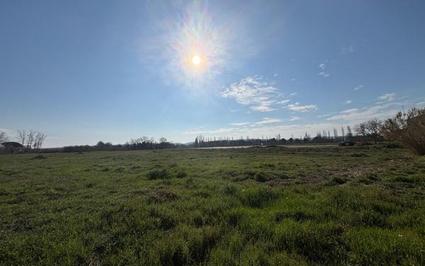 Terrain à vendre    Coursan