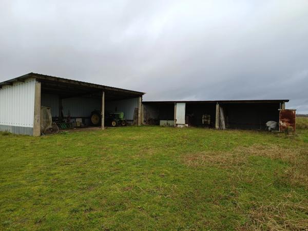 MAISON SUR SOUS SOL SUR UN TERRAIN D'ENVIRON 5000 M²