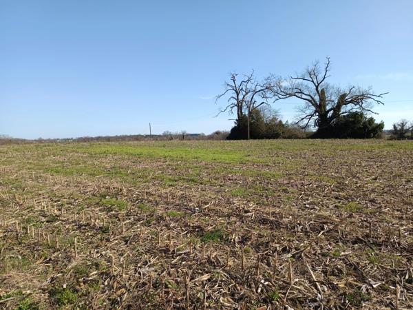 MAISON SUR SOUS SOL SUR UN TERRAIN D'ENVIRON 5000 M²