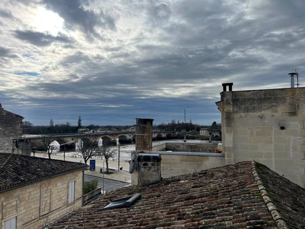 Appartement rénové en 2018 avec terrasse 30 m² vue sur la confluence !