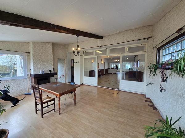 spéciale investisseur