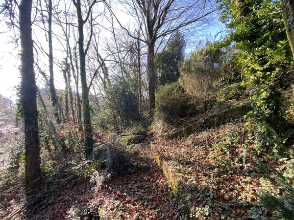 Maison 5 pièces - 150 m² Exclusivité efficity