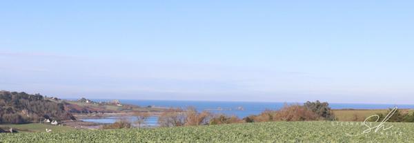 Maison 5 pièce(s) 100 m2