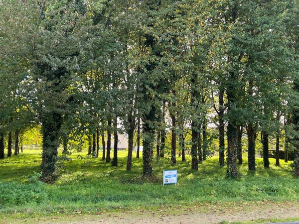 Dpt Maine et Loire (49), à vendre terrain constructible