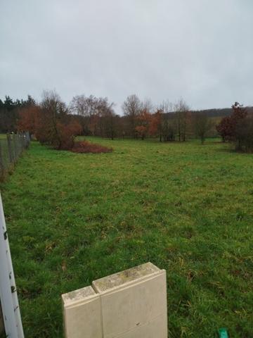 Terrain à vendre |  Dame-Marie-les-Bois |  2997 m²