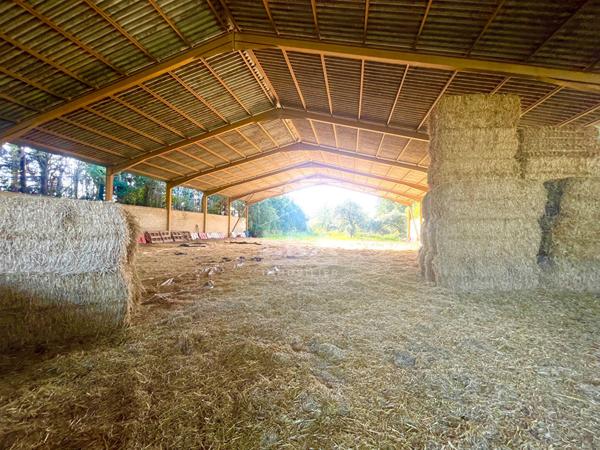 Carpentras, Hangar de 880 m² sur une parcelle de plus de 4 000 m²