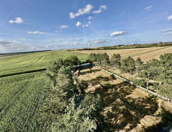 Propriété à vendre 9 pièces BONCOURT (54)