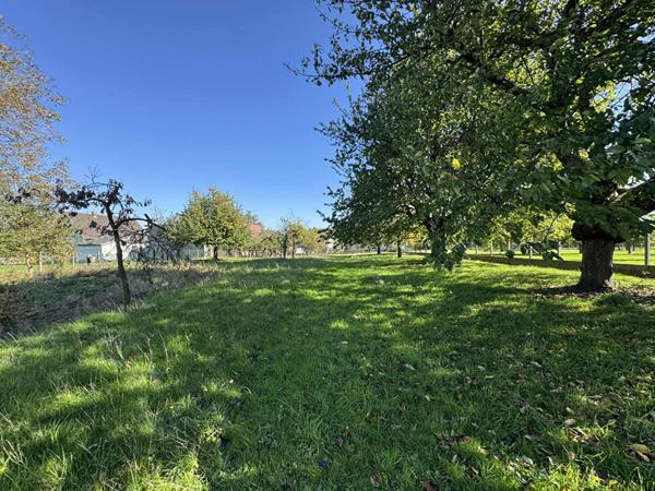 Maison - 6 pièces - 122 m²