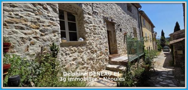 Vente / Maison en pierre