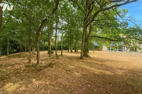 15 MN ANGERS SUD MAISON D'ARCHITECTE AVEC PARC ARBORE ET PISCINE