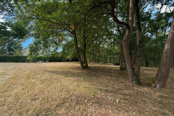 15 MN ANGERS SUD MAISON D'ARCHITECTE AVEC PARC ARBORE ET PISCINE