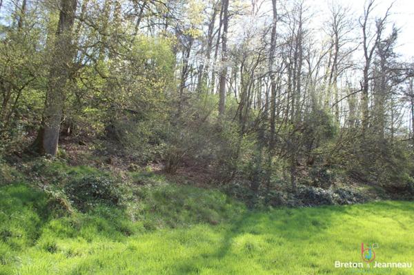 Taillis et prairie sur 9 ha 40 secteur Ernée