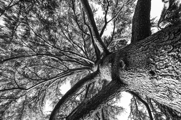 PROCHE DES COMMERCES