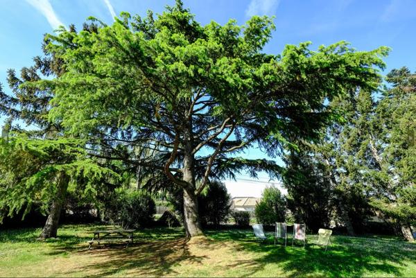 PROCHE DES COMMERCES