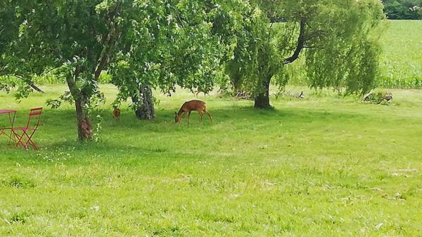 Propriété rare avec vue imprenable sur les Pyrénées