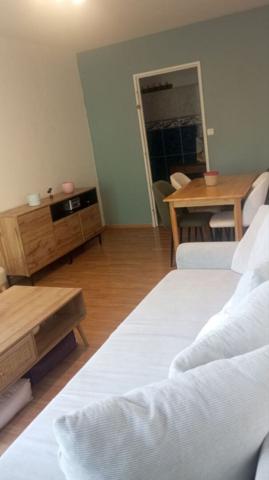 VANDOEUVRE-LES-NANCY Appartement Meublé 3 pièces 64.14 m²