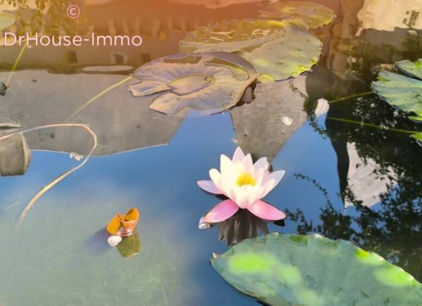 Château à vendre 30 pièces de 1 500 m²