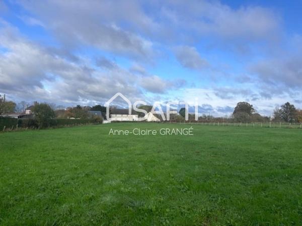 Terrain Montreuil le Chetif