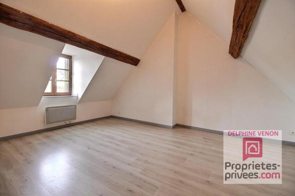 Exclusivité - Maison prestige avec beaucoup de cachet à 2 pas des commerces, du parc et de la Loire à Chateauneuf Sur Loire