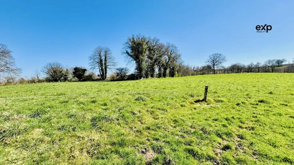 Terres Agricoles de 133420 m2 à MONTAUDIN (53220).