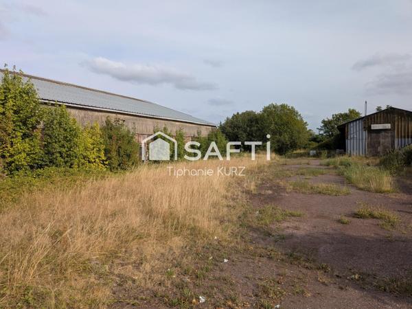 Terrain constructible et Hangars