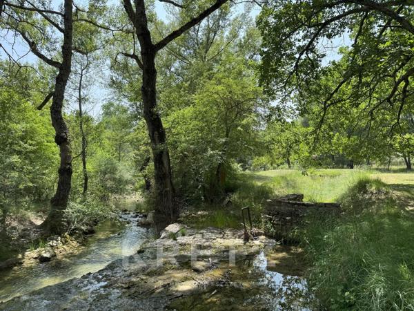 Moulin entièrement rénové avec SPA