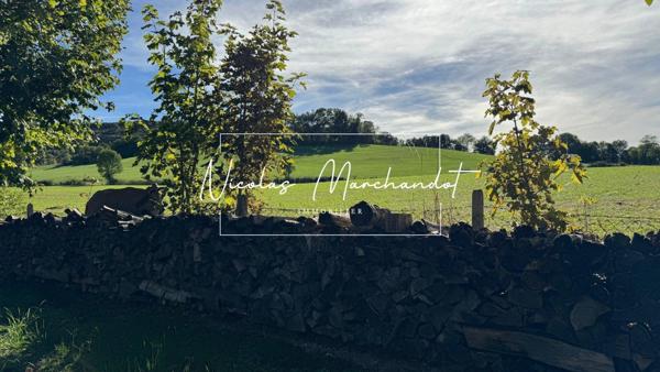 Nuces- Maison d'architecte avec piscine