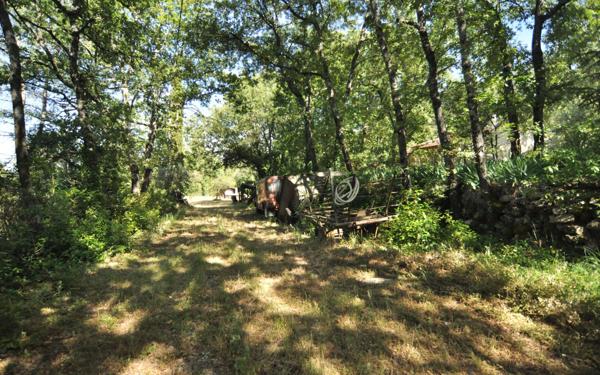 Maison à vendre    4 pièces •  Saint-Maximin-la-Sainte-Baume