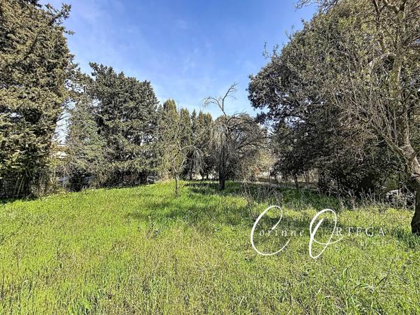 Terrain constructible plat