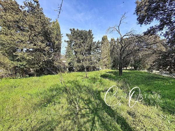 Terrain constructible plat