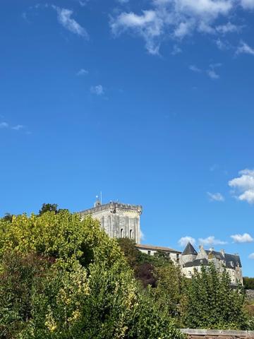 Pons (17800) PONS centre ville 126 m² habitables 3 chambres et jardin