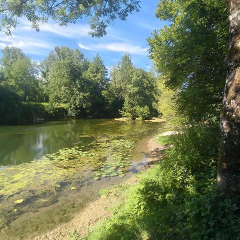 Achat - Terrain de loisirs, bois, étangs Chappes 10260 2500 m 2
