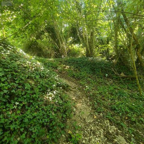 Achat - Terrain de loisirs, bois, étangs Chappes 10260 2500 m 2