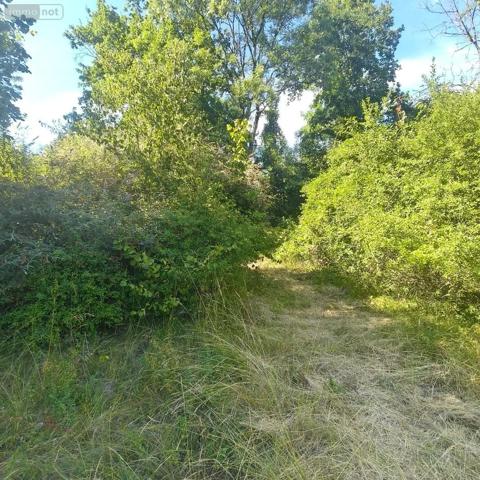 Achat - Terrain de loisirs, bois, étangs Chappes 10260 2500 m 2