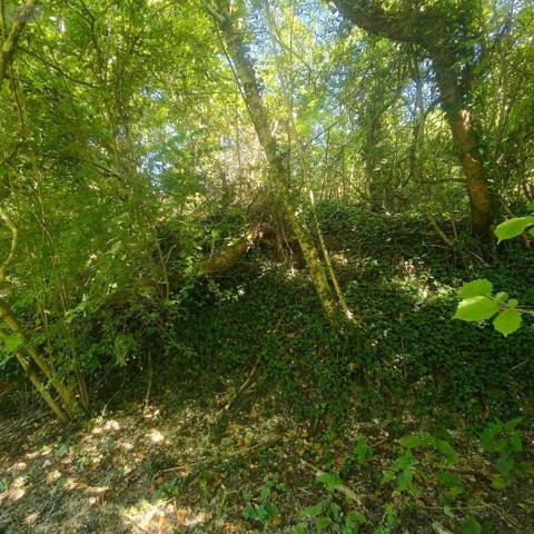 Achat - Terrain de loisirs, bois, étangs Chappes 10260 2500 m 2