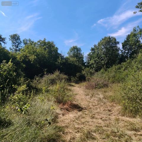 Achat - Terrain de loisirs, bois, étangs Chappes 10260 2500 m 2