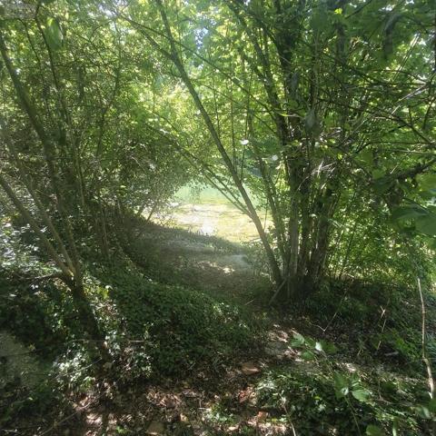 Achat - Terrain de loisirs, bois, étangs Chappes 10260 2500 m 2