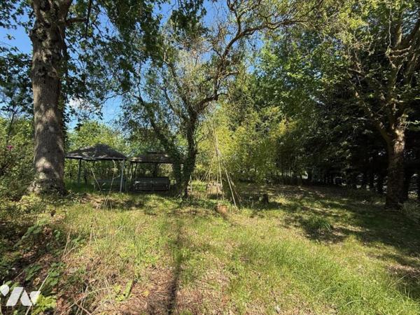 VERRIERES EN ANJOU MAISON TRADITIONNELLE AVEC SOUS-SOL TOTAL ET GRAND TERRAIN AU CALME