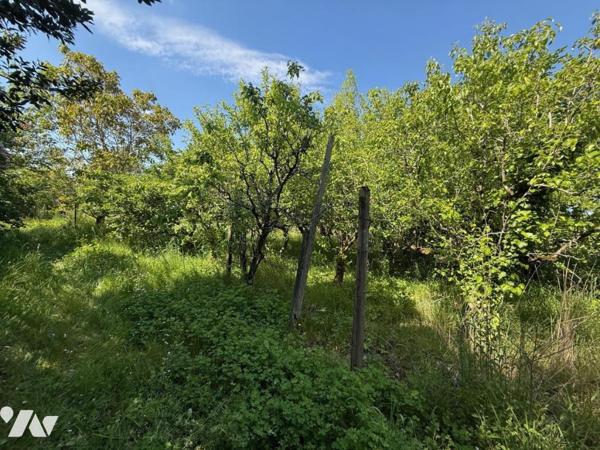 VERRIERES EN ANJOU MAISON TRADITIONNELLE AVEC SOUS-SOL TOTAL ET GRAND TERRAIN AU CALME