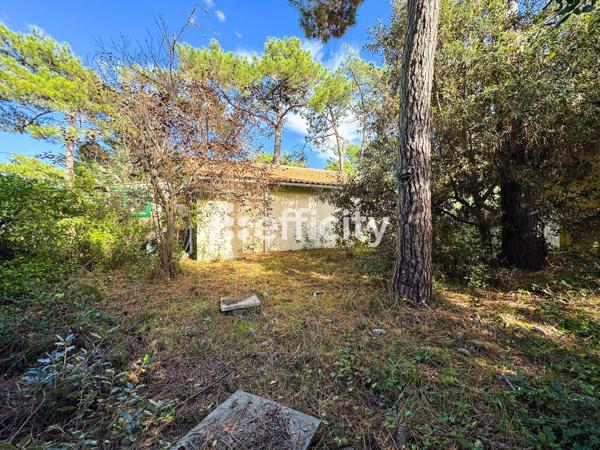 Maison 3 pièces - 51 m² Exclusivité efficity