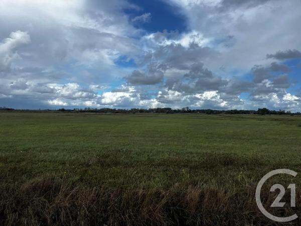 Terrain à vendre  6550 m 2   ST HILAIRE DE RIEZ  - 85